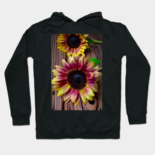 Two Wonderful Autumn Sunflowers Hoodie by photogarry